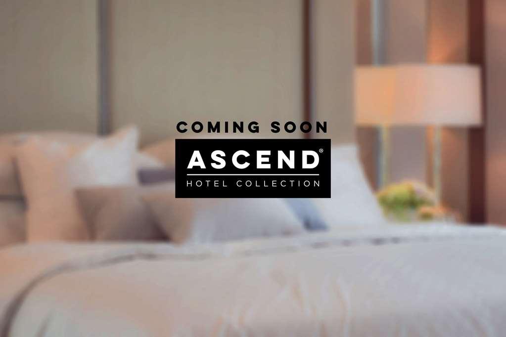 Mayfair Hotel, Ascend Hotel Collection New York Exteriör bild